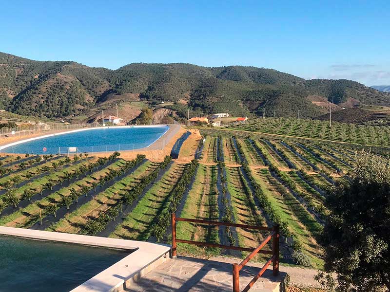 Entrevista a Alicia Talavera - Finca Solmark