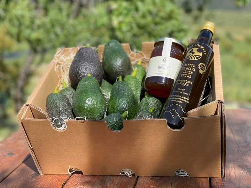 Entrevista a Alicia Talavera - Finca Solmark