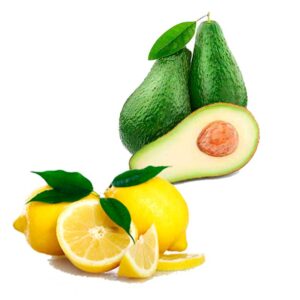 Avokado och Citron Ekologisk - Finca Solmark