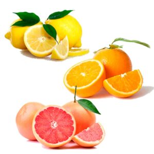 Ecologisk Citrusfrukt - Finca Solmark