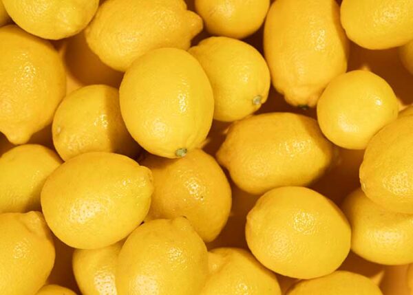 Ekologisk Citron låda 4kg - Finca Solmark