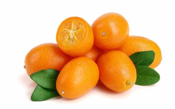Ekologisk Kumquat - Finca Solmark