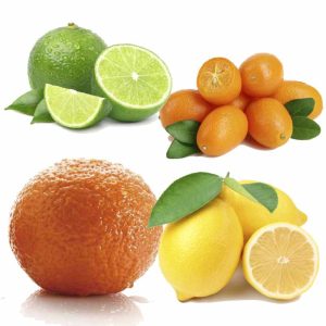 Kumquat + Lime + Pomerans + Citroner Marmeladlådan EKO