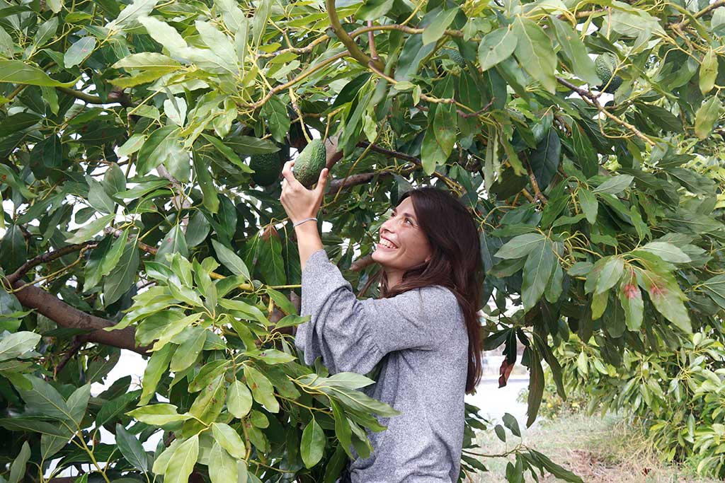 Entrevista a Alicia Talavera - Finca Solmark