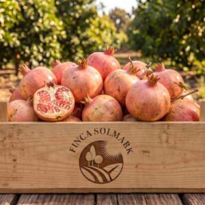 Granatäpple EKO - 4KG