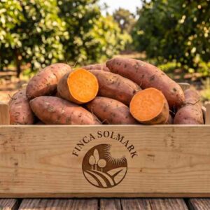 Sötpotatis 4kg EKO