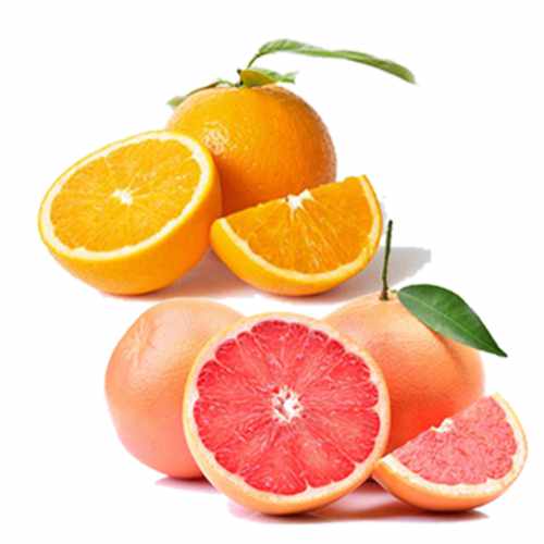 Apelsin och Grapefrukt EKO - Finca Solmark