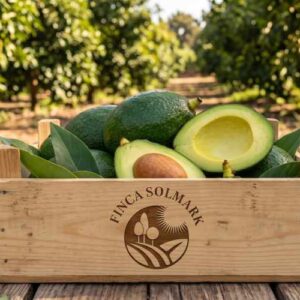 Avokado EKO - 4KG