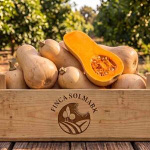 Calabaza Butternut EKO 4KG