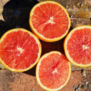 Apelsin Cara Cara EKO 4KG