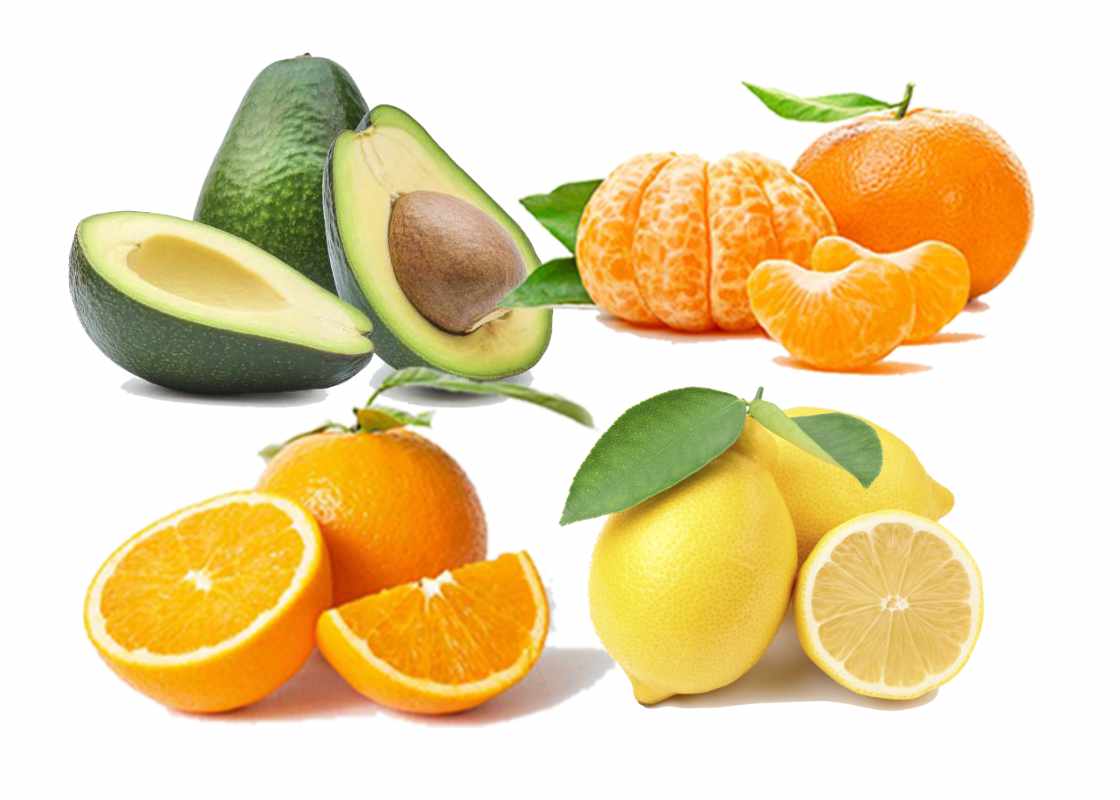 Ekologisk Mango - Finca Solmark