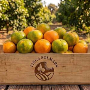 Satsuma Okitsu EKO 4kg